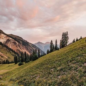 VACATION JULY 1st-8th! Taking offers until then!